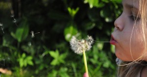 Learning With Nature Photo Ideas