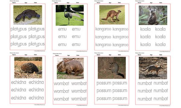 Tracing Names Of Australian Animals - Childcare Network