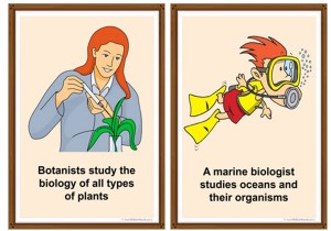 Scientists And The Their Jobs Posters