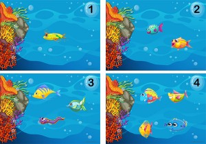 Sea Fish Number Counting