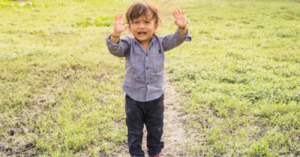 Behaviour as Communication: Meeting Children&rsquo;s Needs Through Attunement