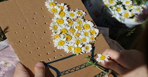 Hands-on Sustainability Projects For Kids