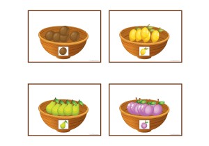 Fruit Bowl Matching