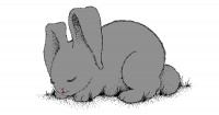 See The Bunnies Sleeping