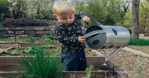 Sustainability Ideas For Early Childhood Services