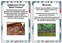 Bush Tucker Posters