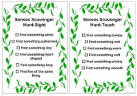 Senses Scavenger Hunt