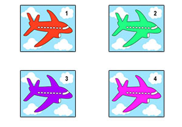 Passenger Plane Counting