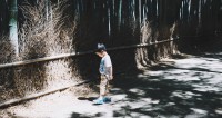 6 Year Old Escapes OOSH, Council Fined $4500