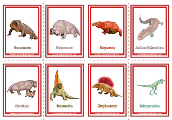 Dinosaur Flashcards Aussie Childcare Network