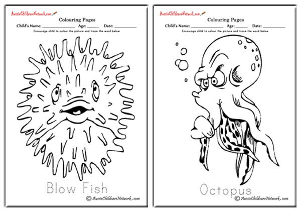 Sea Animals Colouring Pages