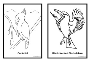 Australian Birds Colouring Pages