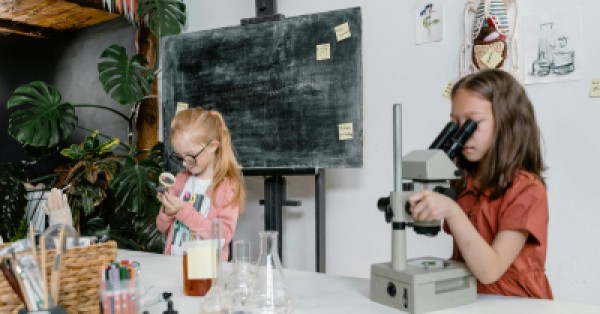 Creating an Inspiring Science and Nature Area Photo Ideas