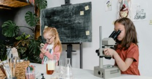 Creating an Inspiring Science and Nature Area Photo Ideas