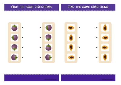 Find The Same Directions - Fruit