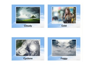 Types Of Weather Posters