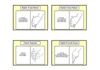 Pencil Grasp Posters