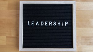 Key Leadership Roles in Early Childhood Services