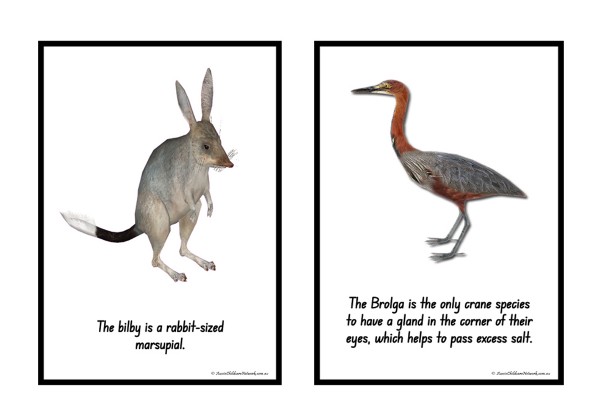 Australian Animal Information Posters