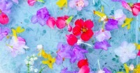 Flower Petal Water Play