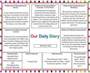 Daily Diary Stars