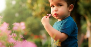 Caring for Country in the Playground