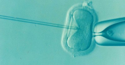 IVF Children