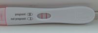 Pregnancy Test